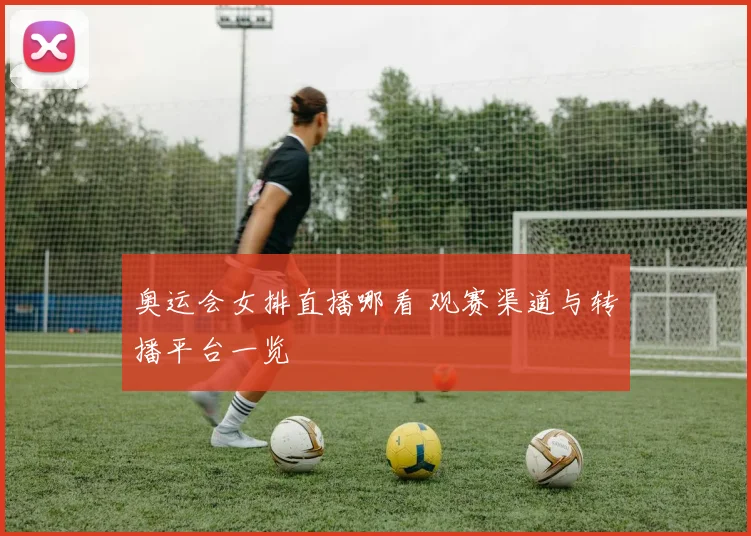 奥运会女排直播哪看 观赛渠道与转播平台一览